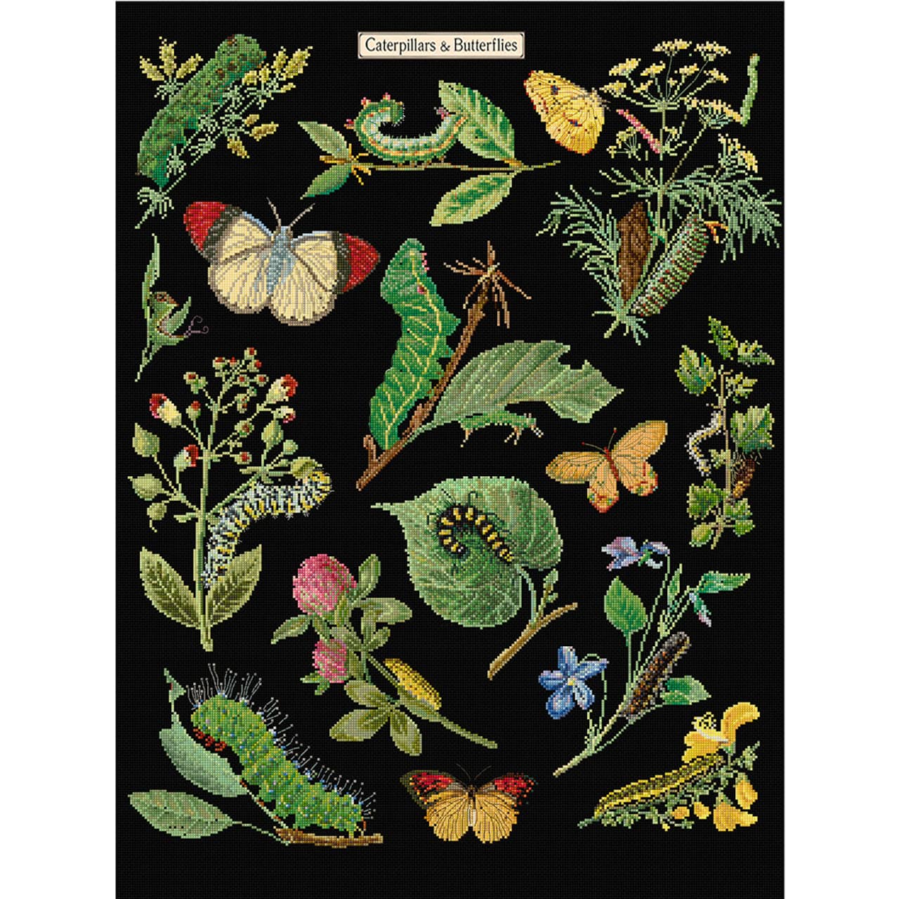 Thea Gouverneur Since 1959® Caterpillars & Butterflies Counted Cross Stitch Kit